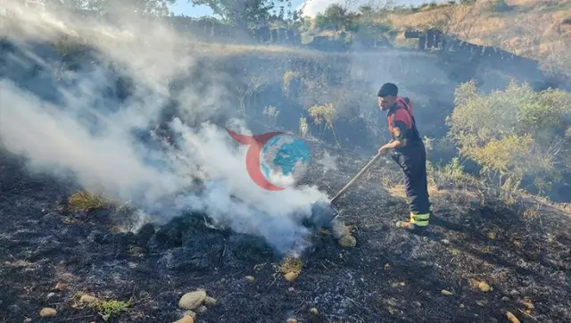 Siirt'te Fıstık Bahçesi Yangını: Kısa Sürede Büyüyen Alevler Kontrol Altında