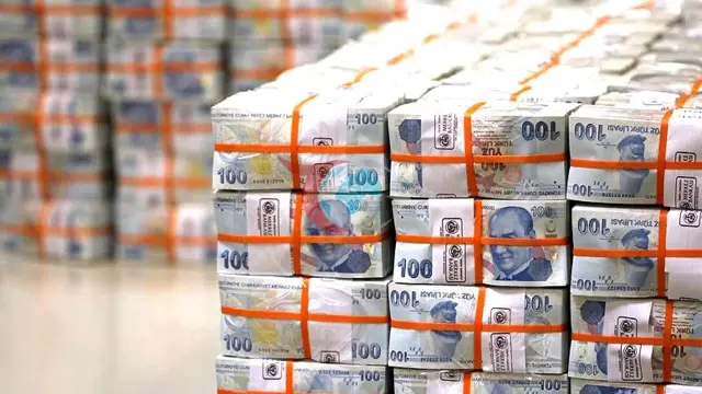 Hazine Tahvil İhalesinden 29.8 Milyar TL Borçlandı