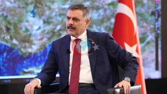 Vazir Çiftchining Yo'l harakati va qarovsiz hayvonlar haqida hayratlanarli bayonotlari