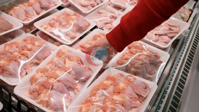 Tavuk Sektöründe Kayyım Kararı Mahkeme Engeline Takıldı