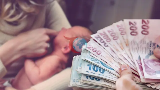 SED Programı ile 11 Milyar TL'lik Destek Sağlandı