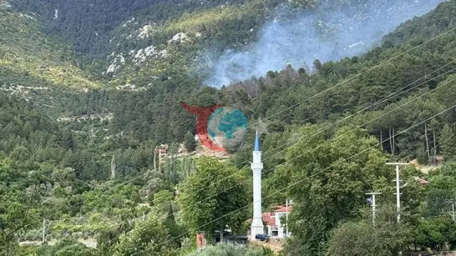 Antalya Kaşda Meşə Yanğınına Sürətli Müdaxilə