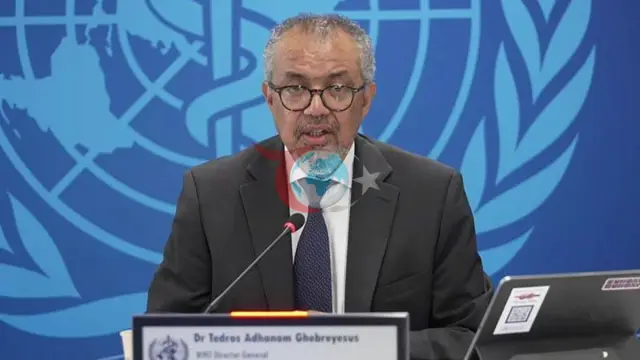 ÜST: Hantavirus epidemiyasına nəzarət edilir