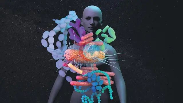 Gut mikrobiome: Saglygymyzy emele getirýän gizlin güýç
