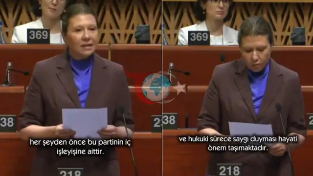 Avrupa Konseyi'nde CHP Tartışmaları: Seda Gören Uyardı