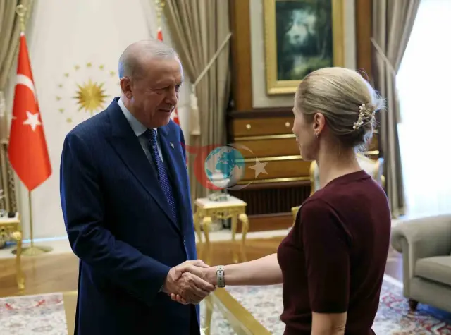 Erdog'an Yevropa Ittifoqi Komissiyasi Vakillari bilan Tanqidiy Uchrashuv O'tkazdi