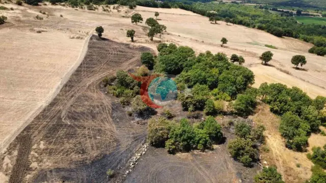 Gönen'deki Orman ve Anız Yangınının Boyutu Havadan Görüntülendi: Kara Tablo Drone Kamerasına Yansıdı