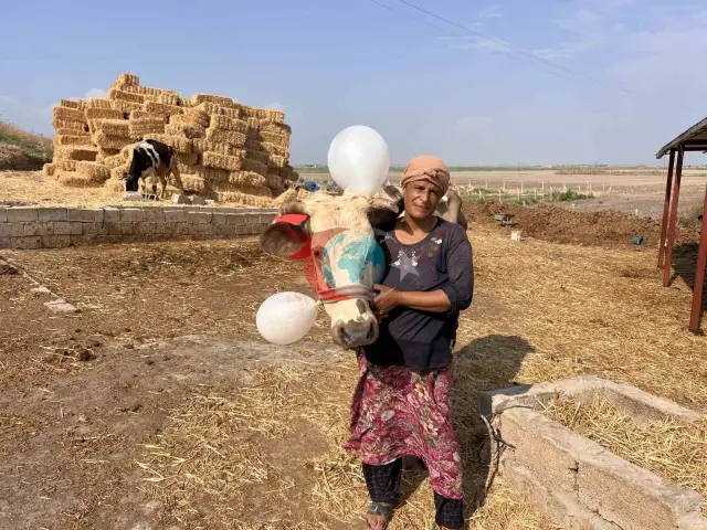 Hataylı Depremzede Kadının Gözyaşları Şanlıurfa’dan Gelen İyilik Kamyonetiyle Mutluluğa Dönüştü