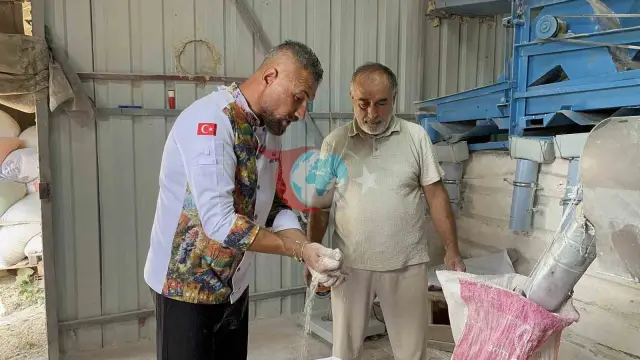 12 Bin Yıllık Ata Tohumu: Kastamonu’nun Coğrafi İşaretli Siyez Buğdayına İlgi Çığ Gibi Büyüyor