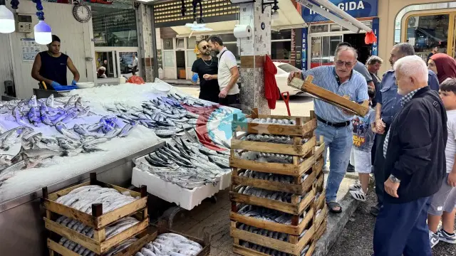 Qara dənizdə palamut bolluğu insanları güldürür: qiymətlər daha da aşağı düşəcək