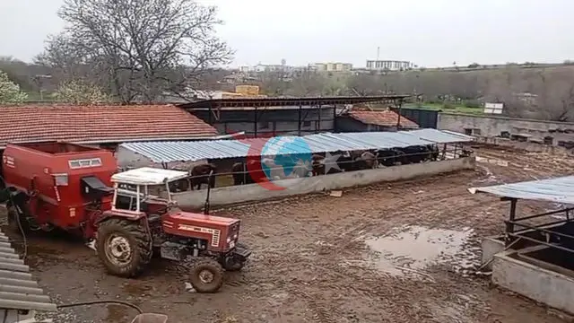 Kırşehir'de Akıllara Durgunluk Veren Hırsızlık: Çaldığı Hayvanları Sahibiyle Birlikte Aradı!