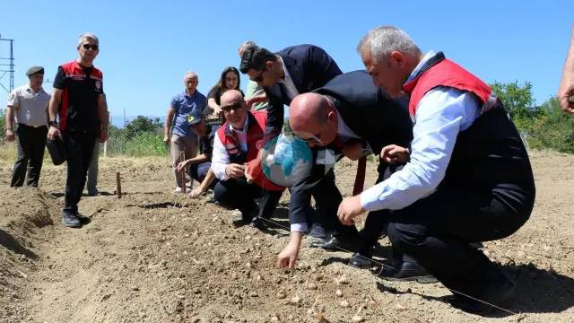 Kilosu 600 min lirə: Dünyanın ən bahalı ədviyyatı Safranboluda torpaqla görüşür