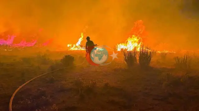 Nevada'da Dev Orman Yangını: 42 Bin Kişiye Tahliye Emri Verildi, Olağanüstü Hal İlan Edildi