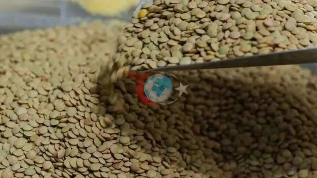 TMO 2026 Yeşil Mercimek Alım Fiyatını ve Detaylarını Açıkladı: Ton Başına 32 Bin TL