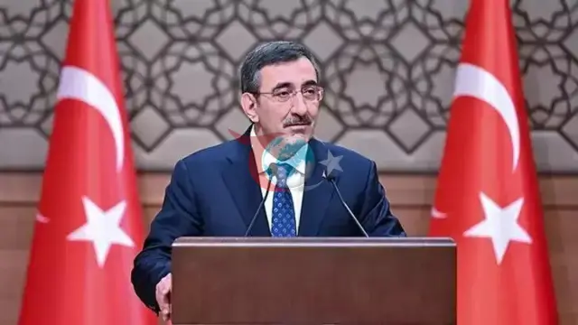 Катамаран Киренияға батып кетті: Вице-президент Джевдет Йылмаздың мәлімдемесі