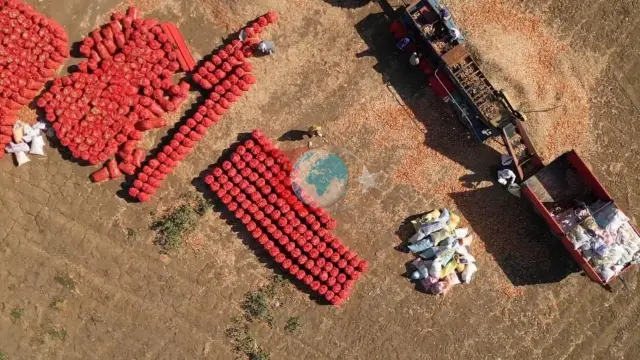 3 Yıllık Emeğin Benzersiz Aroması: Coğrafi İşaretli Tekirdağ Soğanı Dünya Pazarına Açılıyor