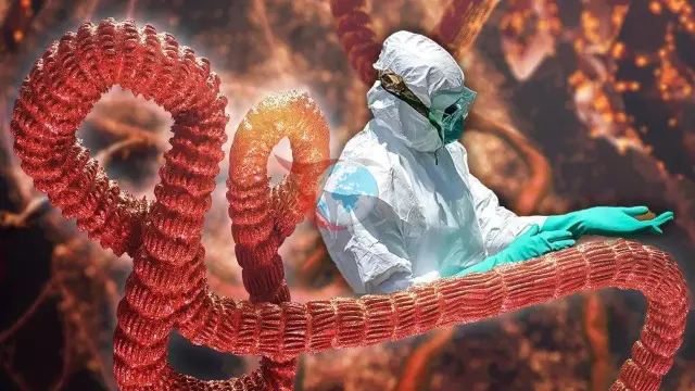 DSÖ'den Üç Büyük Kriz İçin Küresel Alarm: Kongo'da Ebola, Gazze'de İnsani Dram ve Nepal'de Sel Felaketi