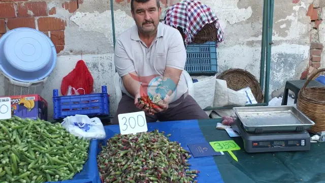Burhaniyedə Bamya İstehsalçısı Gülür: Kiloqramı 300 TL-yə çatdı