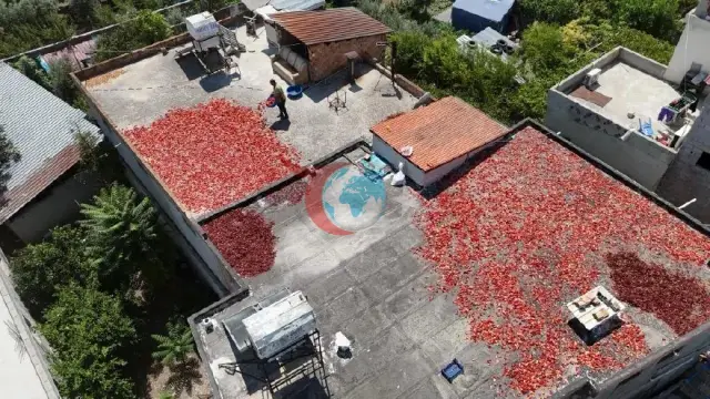 Hatay'da Damlar Kırmızıya Boyandı: Geleneksel Acı Biber Salçası Kilogramı 300 TL'den Alıcı Buluyor