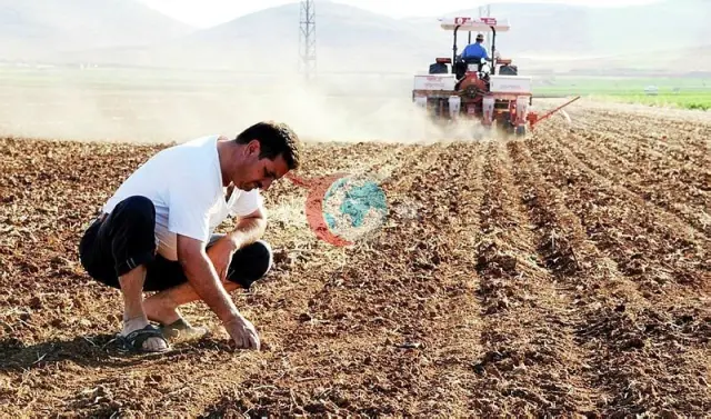 Tarımsal Desteklerde Dev Artış: Resmi Gazete'de Yayımlanan Kararla Ödemeler Katlandı