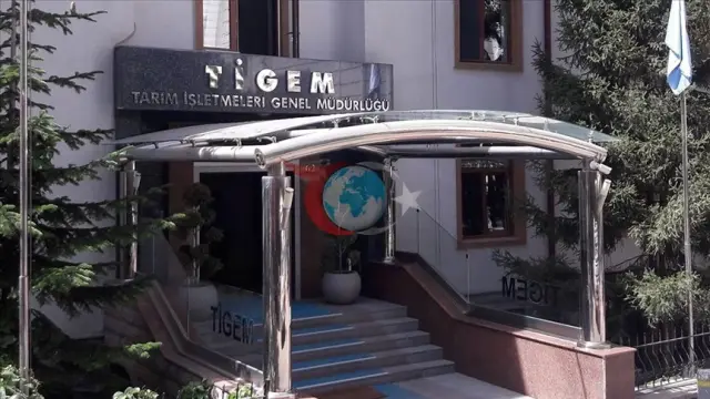 TİGEM'den Büyük İhale: 20 Ton Karkas Sığır Eti ve Tonlarca Hububat Sapı Satışa Sunuluyor