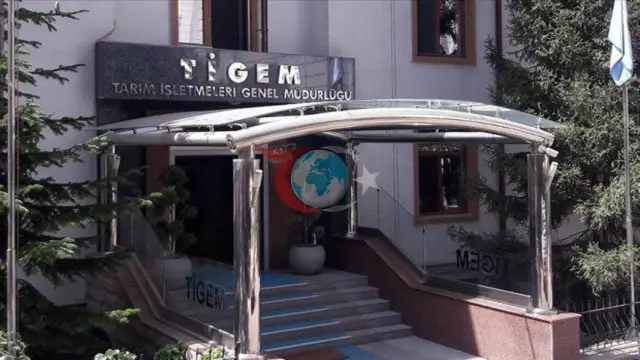 TİGEM'den Dev İhale: 20 Ton Karkas Sığır Eti Satışa Çıkıyor