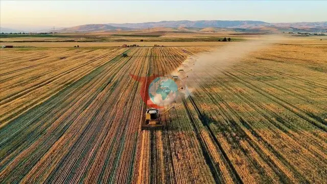 Çiftçiye Dev Destek Müjdesi: Tarım ve Hayvancılık Ödemelerinde Büyük Artış