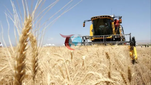ТМОдон өндүрүүчүлөргө чоң колдоо: эсептерге 6,3 миллиард лира төлөнөт