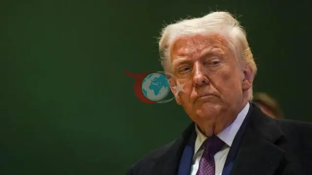 Donald Trampın Almaniyanın təhlili: AfD-nin yüksəlişi və immiqrasiya tənqidi