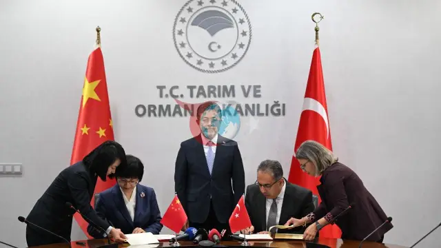 Türkiye'nin Tarım Diplomasisinde Dev Adımlar: Rusya'dan Gübre Güvencesi, Çin'e Defne Yaprağı İhracatı