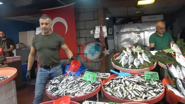 Tezgahlarda Bolluk Dönemi: Yalova'da Balık Fiyatları Düşüşe Geçti