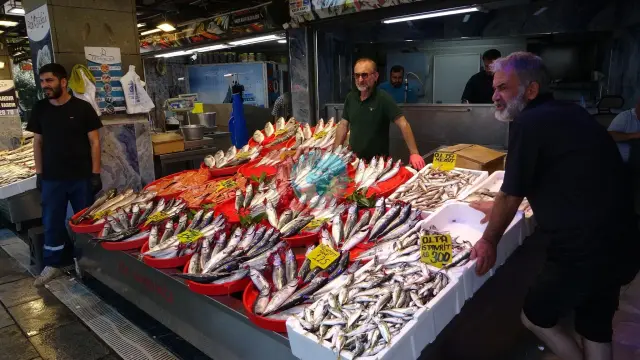 Karadeniz'de Palamut Bolluğu Fiyatları Dibe Çekti: 3 Tanesi 200 Liraya Düştü!