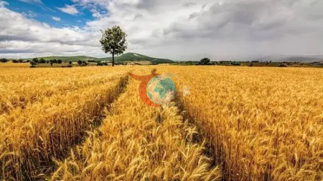 Almanya Tarım Bakanı Rainer Türkiye’ye Geliyor: Tarım ve Gıda Ticaretinde Stratejik İşbirliği Dönemi