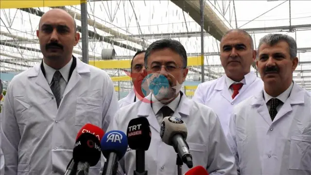 Şırnak Silopi Sera OTB Tamamlandı: Bölge Ekonomisine Yıllık 1,2 Milyar Liralık Dev Katkı