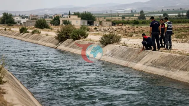 Mersin Tarsus'ta Acı Olay: Serinlemek İçin Sulama Kanalına Giren Ayaz Kurt Boğularak Can Verdi