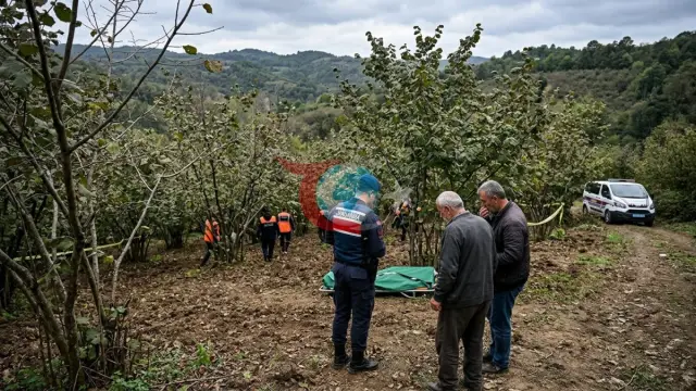 Düzce'de Kayıp Alarmı Acı Sonla Bitti: 35 Yaşındaki Ali Koçak Fındık Bahçesinde Ölü Bulundu
