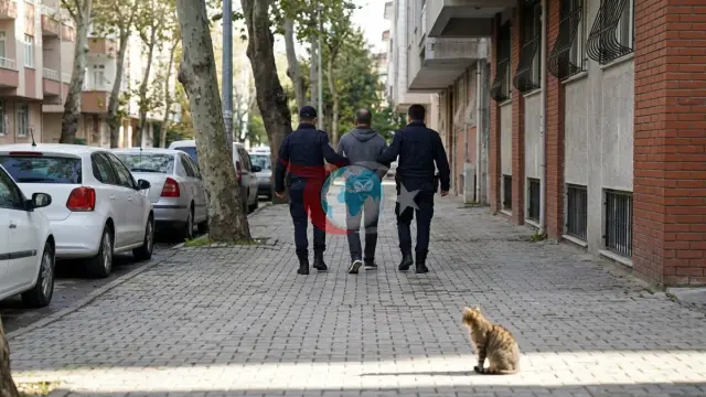 Bursa'da Kediye Vahşice Şiddet Uygulayan S.U. Yakalandı! O Anlar Kamerada