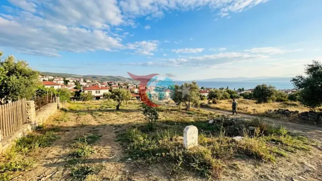 Burhaniye Belediyesi'nden Dev Arsa Satışı: İki Değerli Taşınmaz İhaleyle Satılıyor
