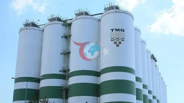 TMO'dan Üreticiye ve Sektöre Büyük Destek: Arpa Satışları Başladı