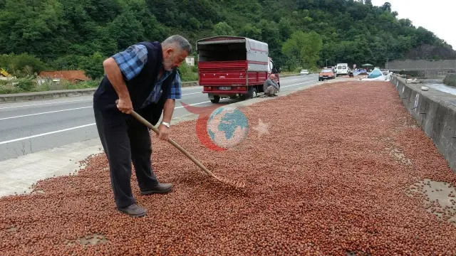 Fındık Üreticisi Serbest Piyasaya Sırtını Döndü: Tercih TMO Oldu