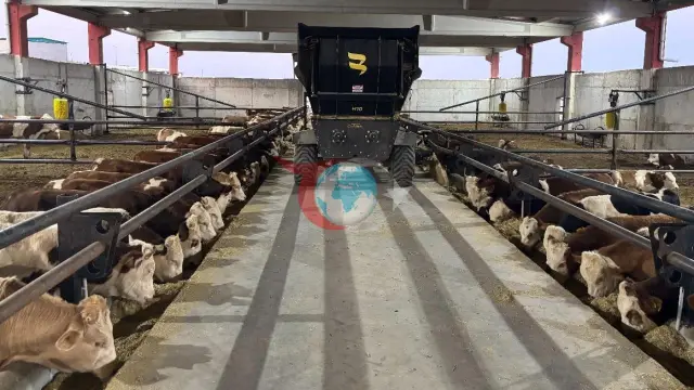Şanlıurfa Ortadoğu'nun Et Üssü Oluyor: Dev Projeyle 5 Bin Kişiye İstihdam Kapısı
