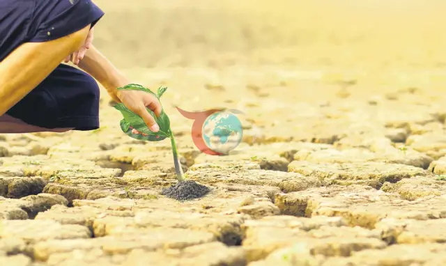 Ауаның ластануы және жаһандық жылыну өкпе ісігінің қаупін арттырады
