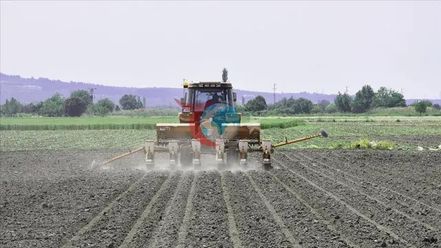 Tarım Üretiminde Maliyet Baskısı Sürüyor: Tarım-GFE Yıllık Yüzde 27,62 Arttı