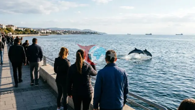 Tekirdağ Sahilinde Görsel Şölen: Marmara Denizi'nde Yunusların Dansı Kamerada
