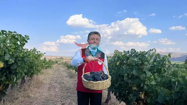 Tarım ve Orman Bakanı Yumaklı Müjdeyi Verdi: Üzüm Üretiminde 3 Milyon 850 Bin Tonluk Rekor Rekolte Bekleniyor