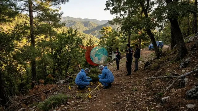 15 Aydır Her Yerde Aranıyordu: Yaşlı Adamın Cansız Bedenine Ait Kemikler Ormanda Bulundu