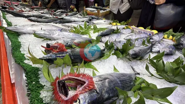 Karadeniz'de Palamut Bolluğu Tezgahları Şenlendirdi: Fiyatlar Düştü, Vatandaş Akın Etti!