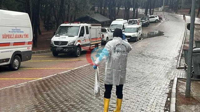Atatürk Kent Ormanı'nda Gizemli Ceset Alarmı: 3 Aile DNA Testine Çağrıldı