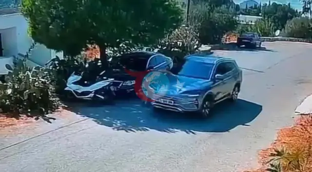Bodrum'da Vicdanları Sızlatan Olay: Köpeklerin Üzerinden Geçen Sürücü Ankara'da Aranıyor