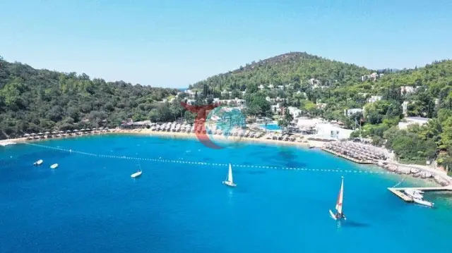 Bodrum Küresel Dalgalanmalara Meydan Okuyor: Turizmde Çorum Rüzgarı Esti